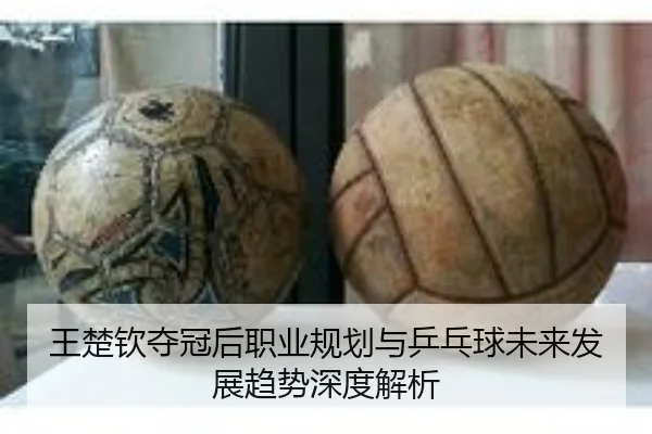 wang-chu-qin-duo-guan-hou-zhi-ye-gui-hua-yu-ping-pang-qiu-wei-lai-fa-zhan-qu-shi-shen-du-jie-xi-2-399.jpg